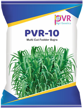 P.V.R. Fodder Bajra 10