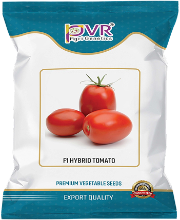 P.V.R. HY . TOMATO -PVR- 65