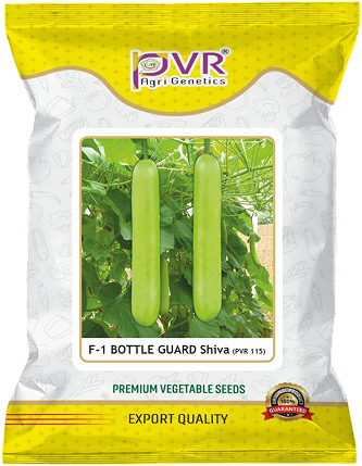 P.V.R. HY- BOTTLE GOURD -PVR 115