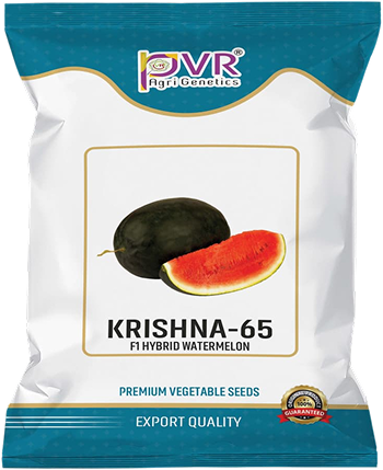 P.V.R. HY- WATWER MELON – KIRSHNA -65