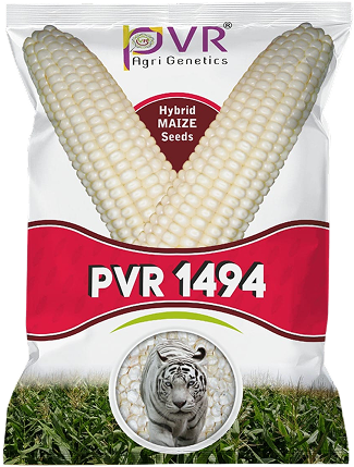 P.V.R. HY WHITE MAIZE 1494