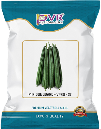 P.V.R. HY. RIDGE GOURD-PVR 135