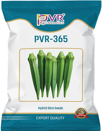 P.V.R. HYBRID – OKRA -365