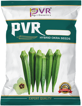 P.V.R. HYBRID – OKRA -OKH-43