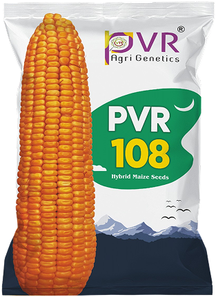 P.V.R. Ha. MAIZE 801