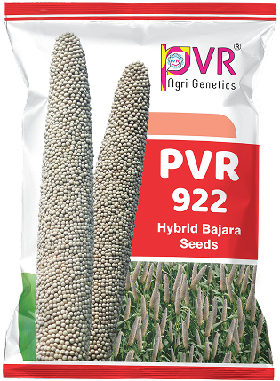 P.V.R. Hy. BAJARA 922