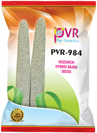 P.V.R. Hy. BAJARA-984