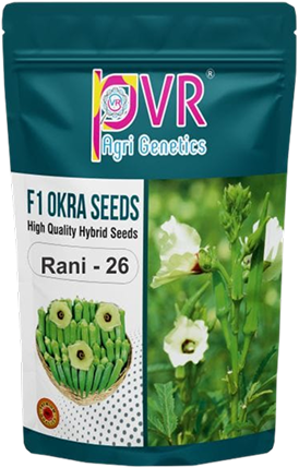 P.V.R. Hybrid —Bhindi (Okra) Rani 26