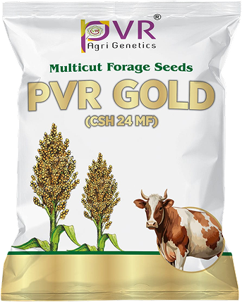P.V.R.  Hybrid  SORGHUM PVR GOLD