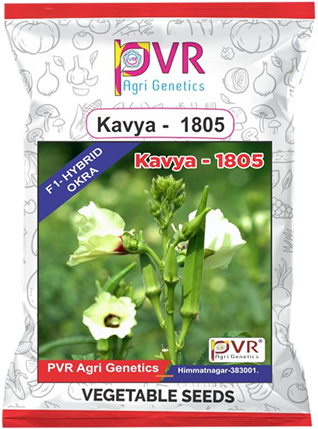 P.V.R. Hybrid -okra – kavya -1805