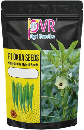 P.V.R. Hybrid – Bhindi (Okra) SIMMBA Gold
