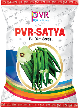 P.V.R. Hybrid – Bhindi (Okra) Satya