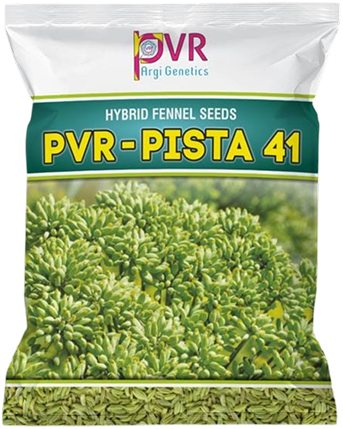 P.V.R. Hybrid – Fennel (Variali) Pista-41