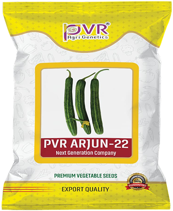 P.V.R. RESEARCH- CUCUMBER ARJUN-22