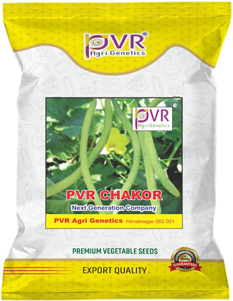P.V.R. RESEARCH- CUCUMBER  CHAKOR