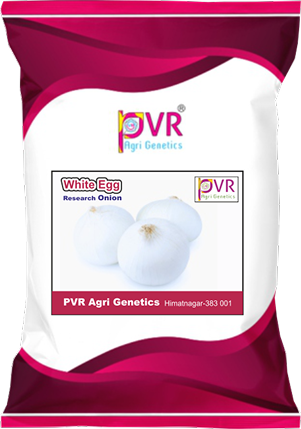 P.V.R. RESEARCH – ONION – WHITE EGG