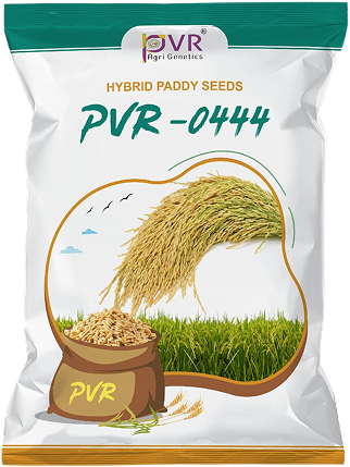 P.V.R. RESEARCH PADDY -0444
