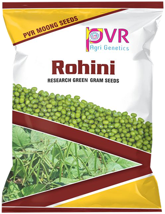 P.V.R. Research GREEN GRAM Rohini