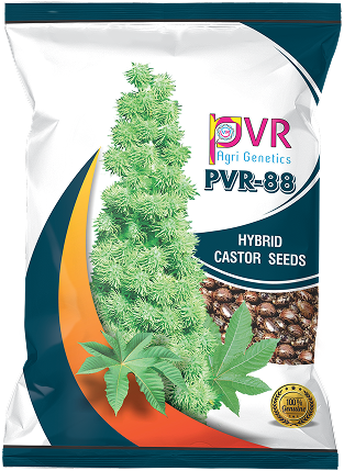 P.V.R. Research Hybrid – castor 88