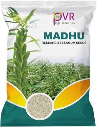 P.V.R. Research Sesamum MADHU