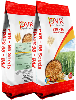 P.V.R. Research Wheat PVR -96