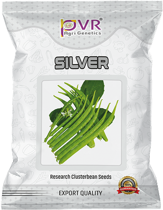 P.V.R. Research – CLUSTER BEAN Silver