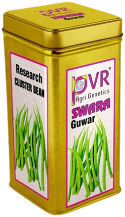 P.V.R. Research – CLUSTER BEAN Swara