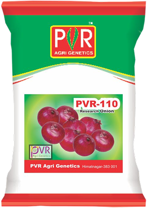 P.V.R. Research – Onion 110