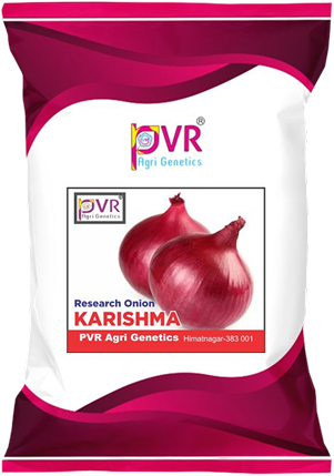 P.V.R. Research – Onion Karishma