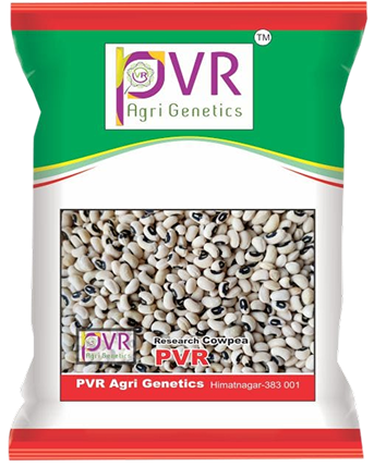 P.V.R. Research –COWPEA- Bold