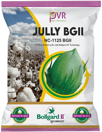 P.V.R. cotton  Jully BG-2