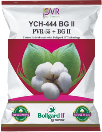 P.V.R.cotton BG-2 55+